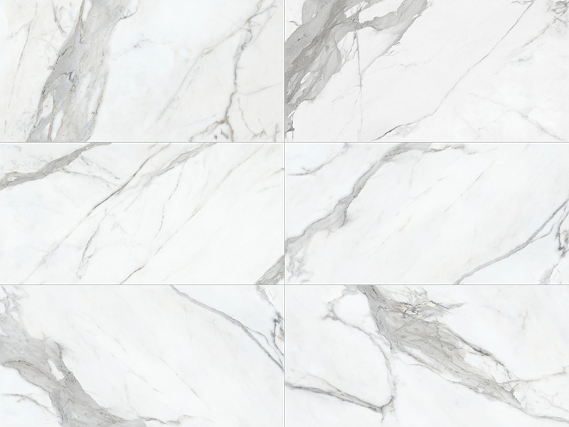 1551859146345193.jpg 魚肚白.jpg