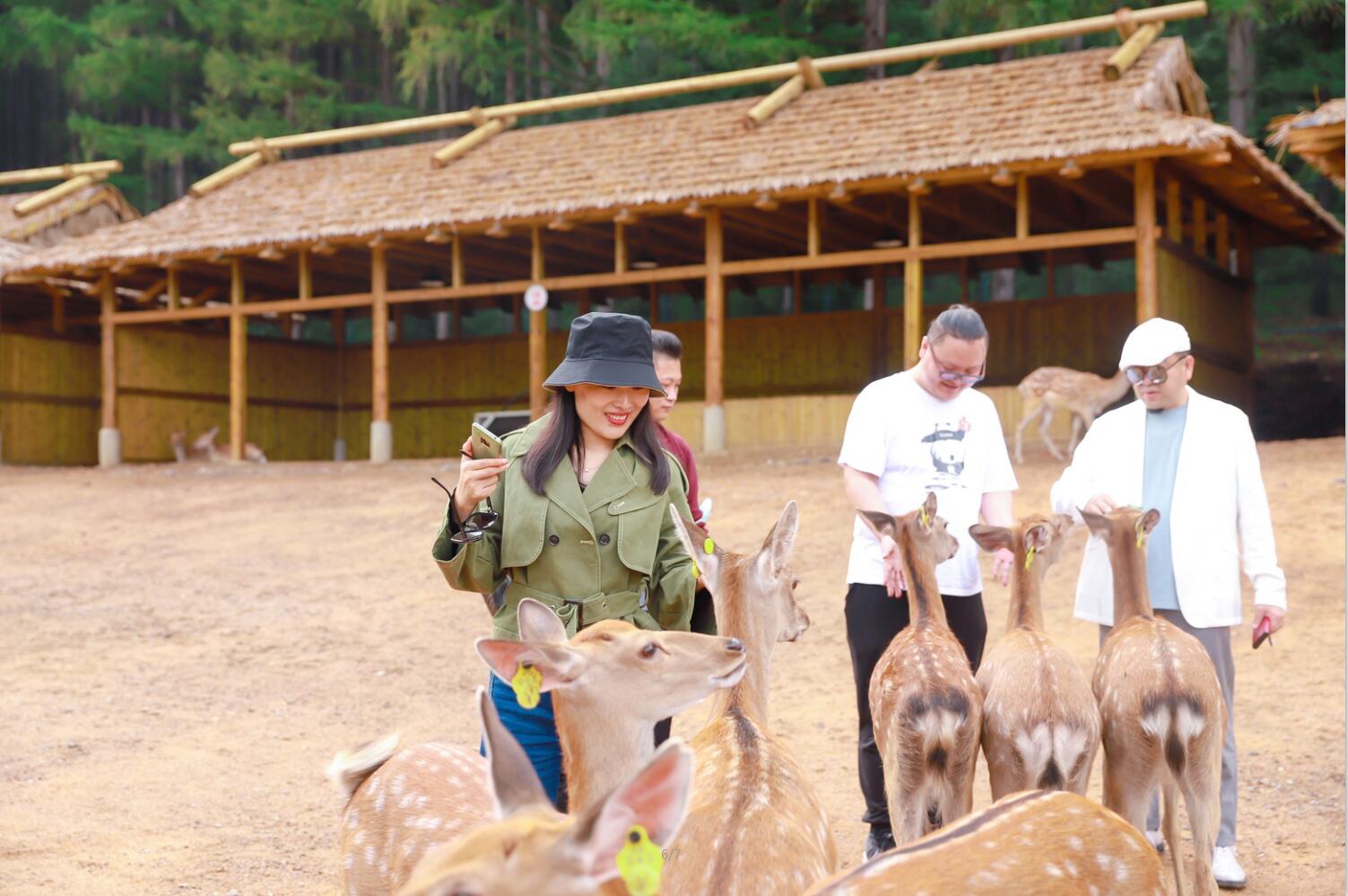 1600501138799630.jpg QQ截圖20200919153821.jpg