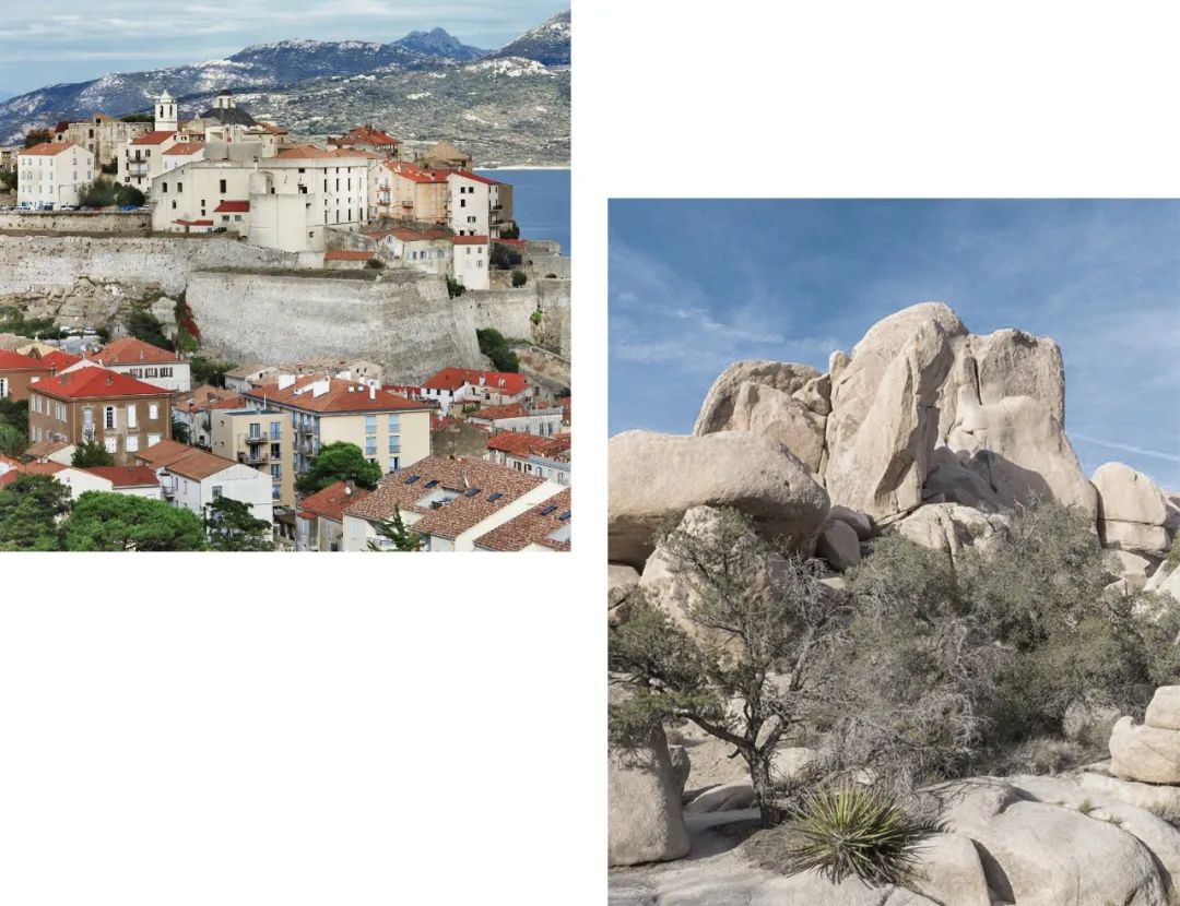 1654140530631216.jpg 微信圖片_20220602112832.jpg